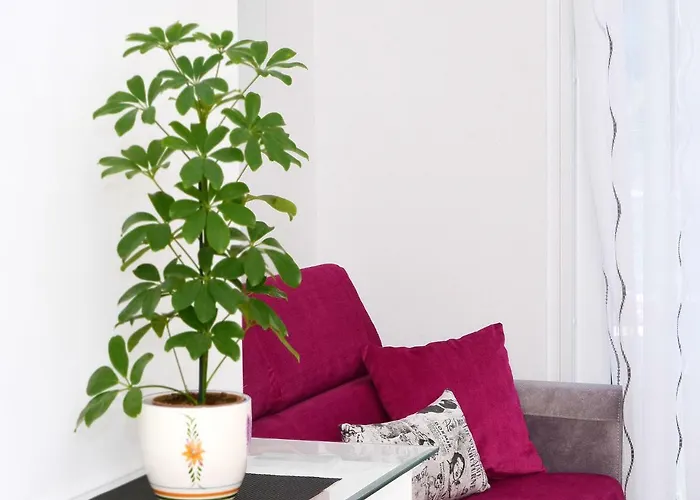 公寓 Luxury Marionik *